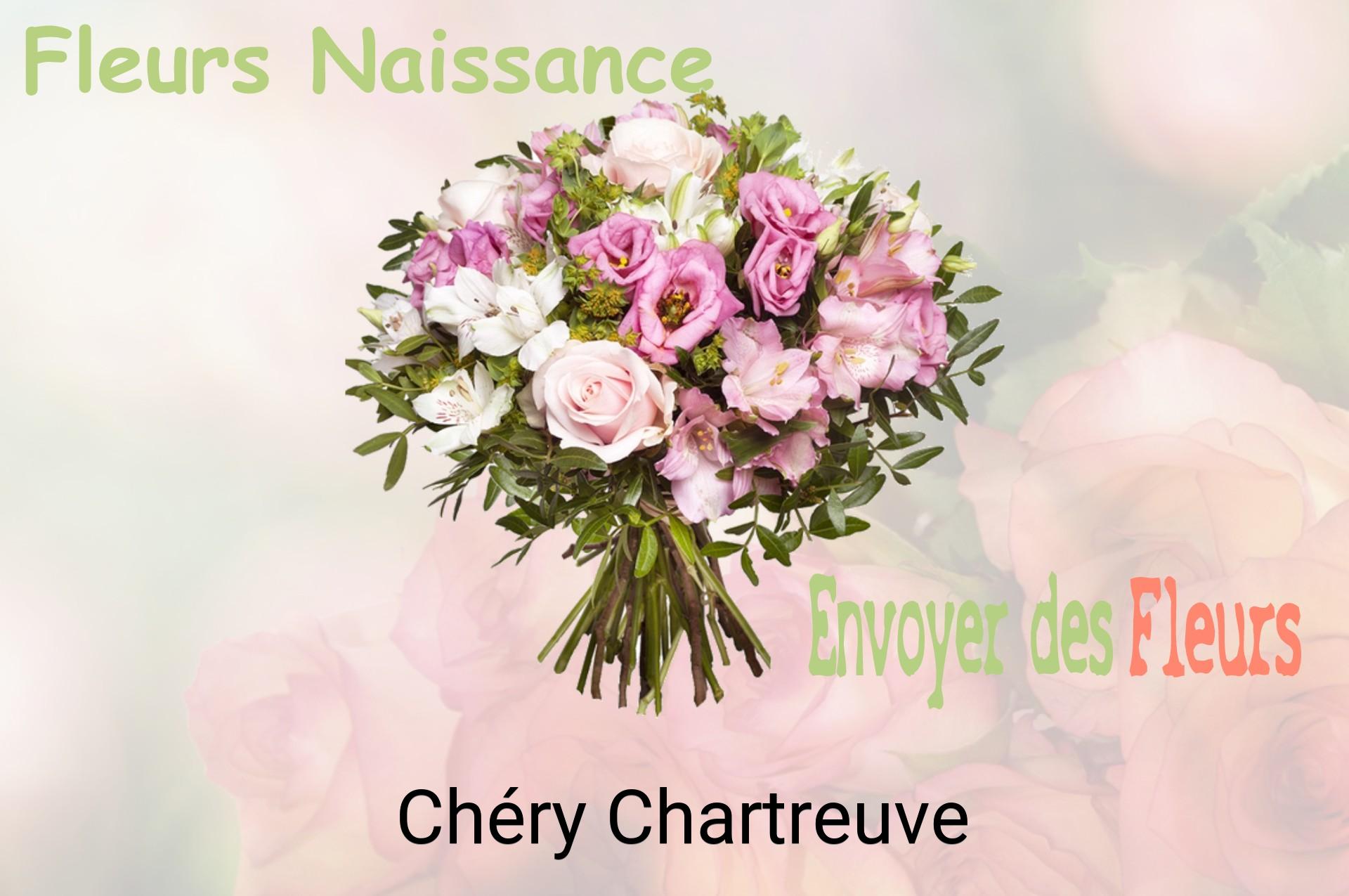 Bouquet de fleurs de naissance livré à Chéry-Chartreuve