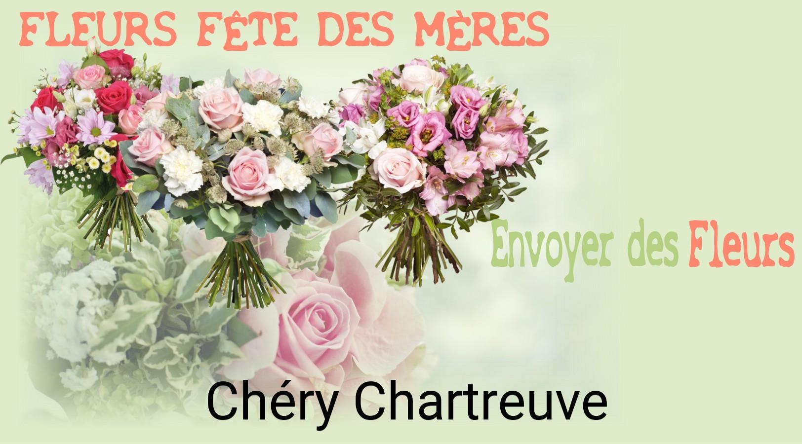 Bouquet de Fête des Mères livré à Chéry-Chartreuve